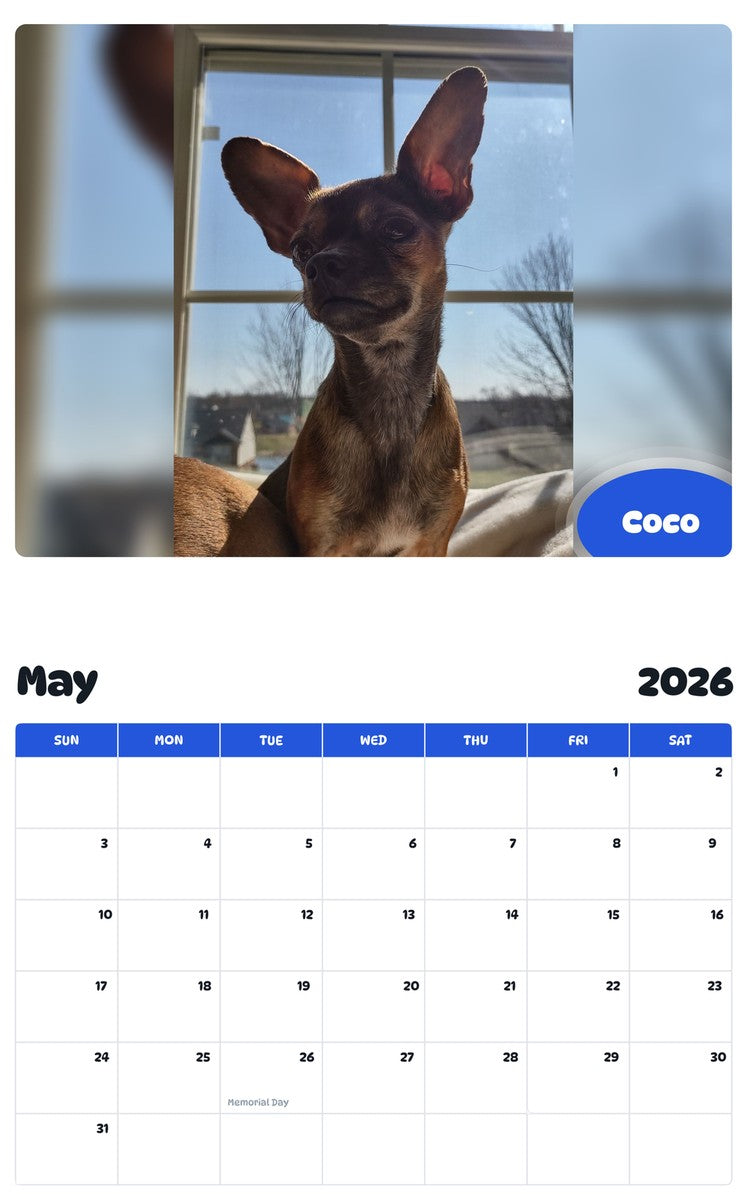 2026 - 2027 Coco - Pawidols Pet Calendar