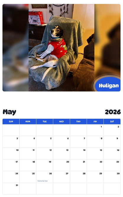 2026 - 2027 Huligan - Pawidols Pet Calendar