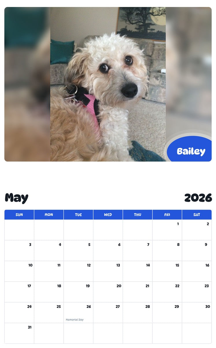 2026 - 2027 Bailey - Pawidols Pet Calendar