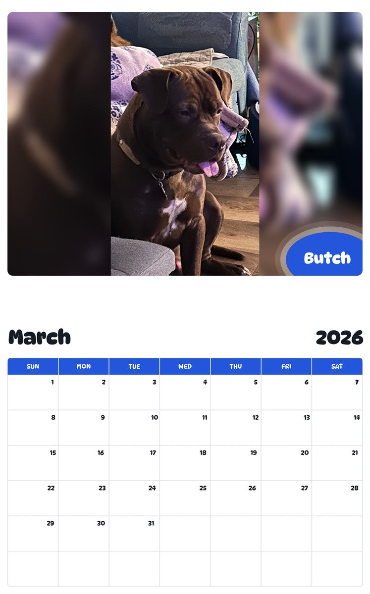 November 2025 - October 2026 Butch - Pawidols Pet Calendar
