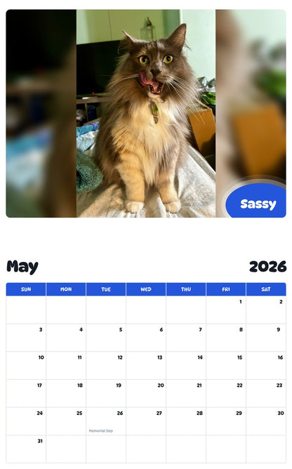 2026 - 2027 Sassy - Pawidols Pet Calendar