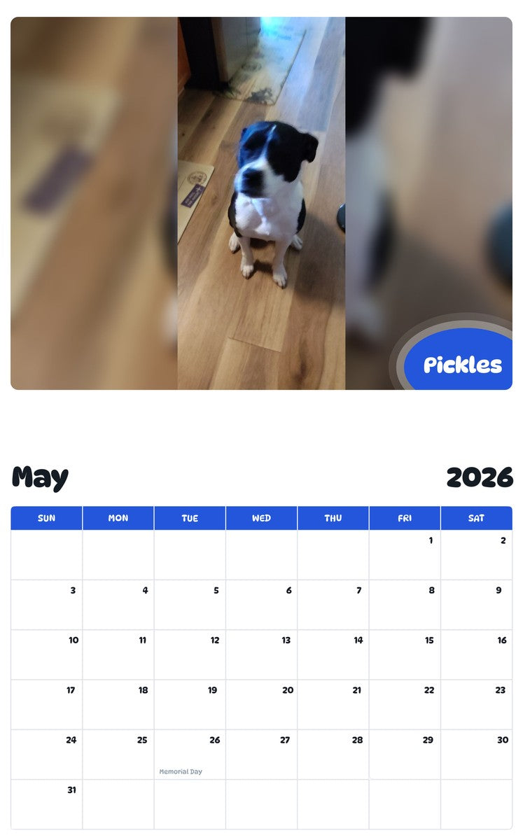 2026 - 2027 Pickles - Pawidols Pet Calendar
