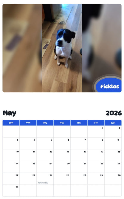 2026 - 2027 Pickles - Pawidols Pet Calendar