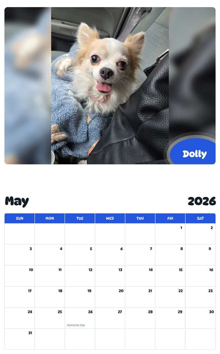 2026 - 2027 Dolly - Pawidols Pet Calendar