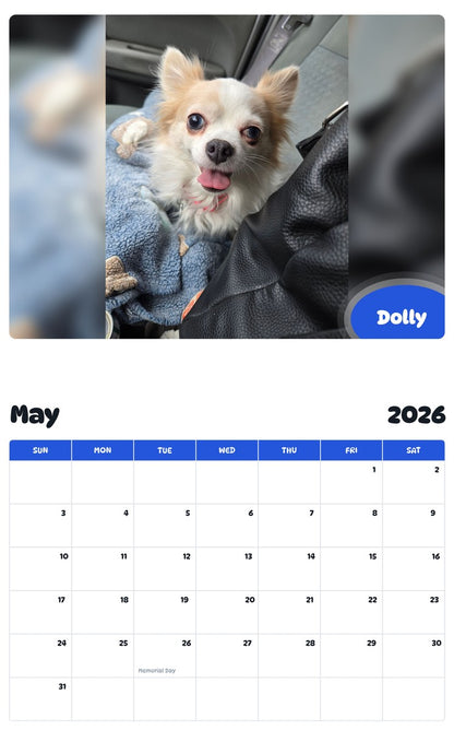 2026 - 2027 Dolly - Pawidols Pet Calendar