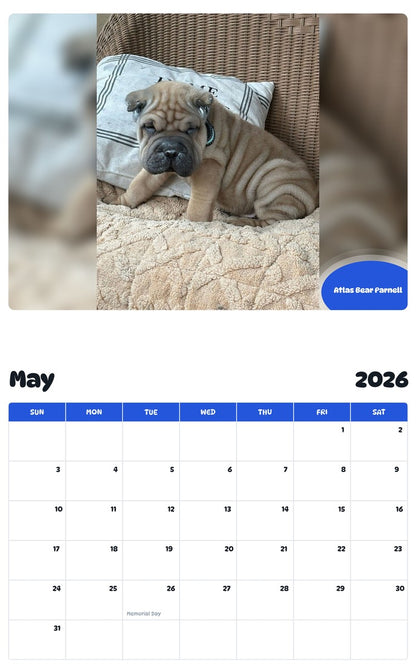 2026 - 2027 Atlas Bear Parnell - Pawidols Pet Calendar
