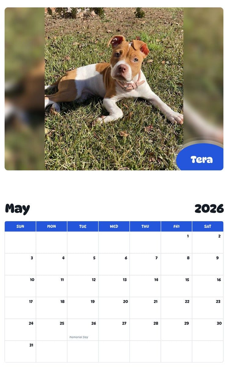 2026 - 2027 Tera - Pawidols Pet Calendar