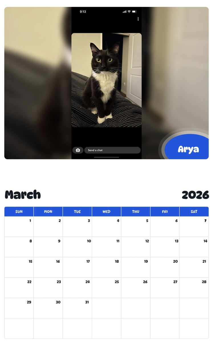 November 2025 - October 2026 Arya - Pawidols Pet Calendar