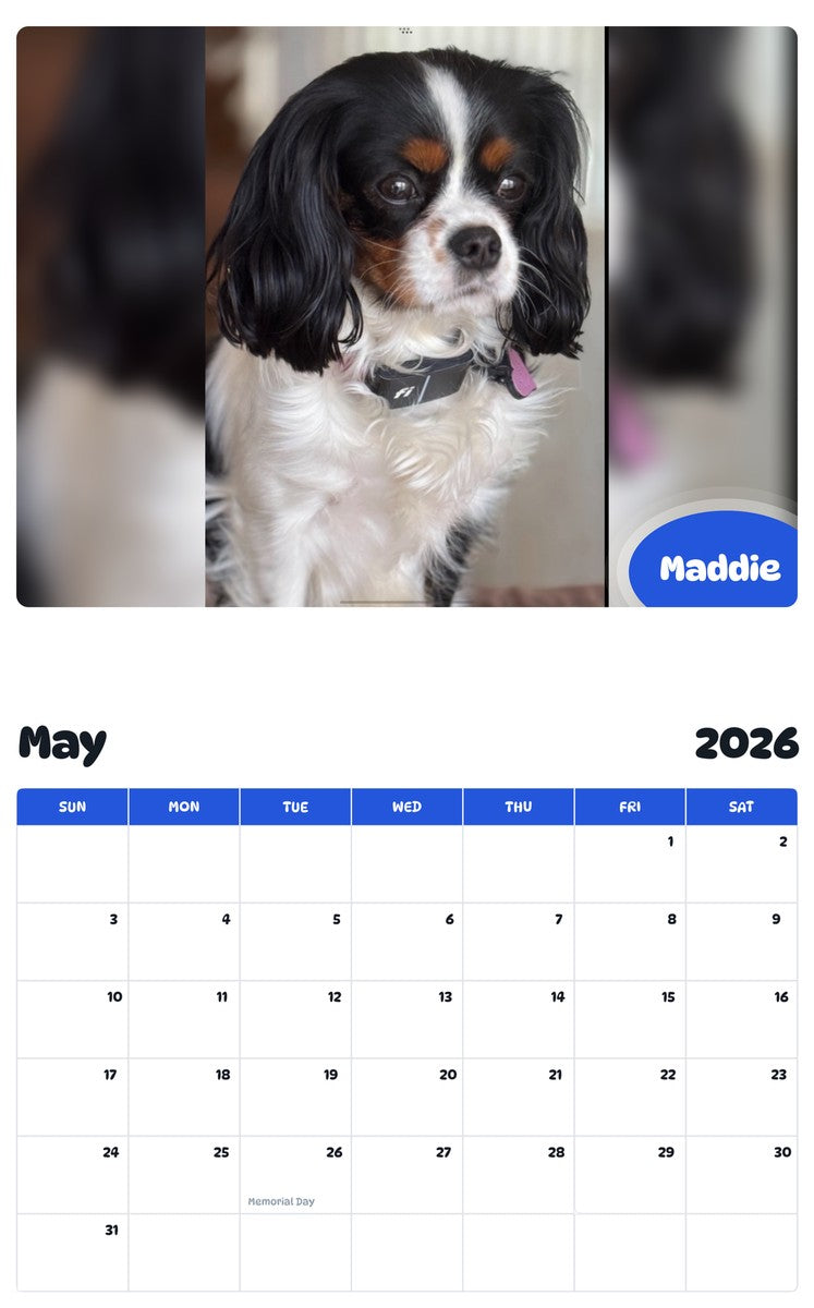 2026 - 2027 Maddie - Pawidols Pet Calendar