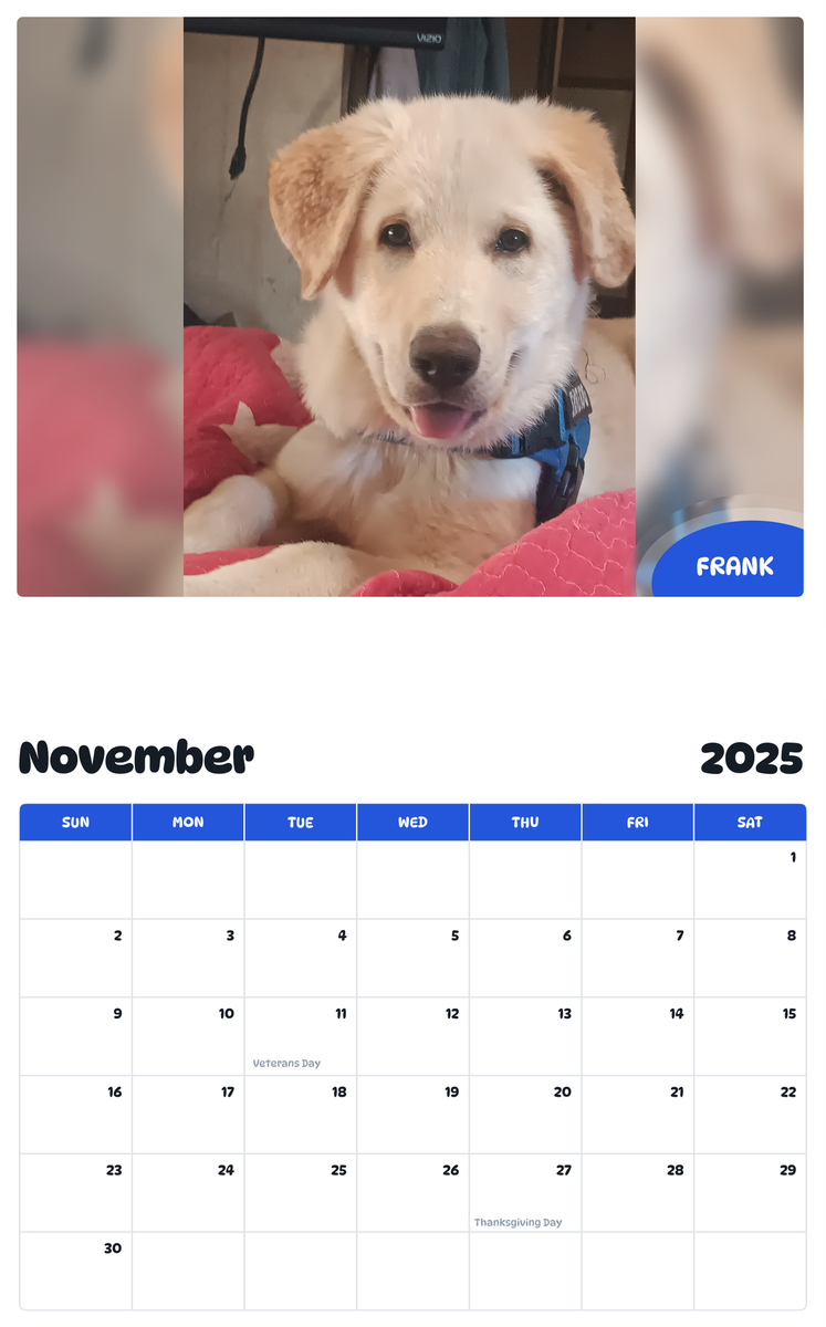 July 2025 - June 2026 FRANK - Pawidols Pet Calendar