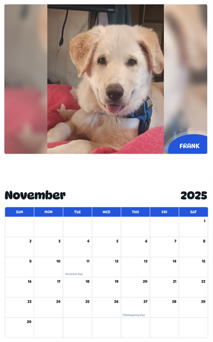 July 2025 - June 2026 FRANK - Pawidols Pet Calendar