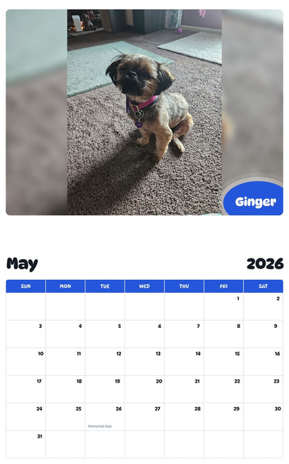 2026 - 2027 Ginger - Pawidols Pet Calendar
