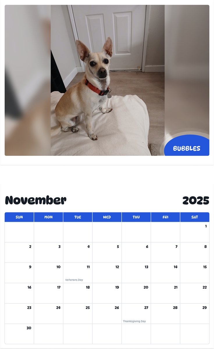 July 2025 - June 2026 Bubbles - Pawidols Pet Calendar