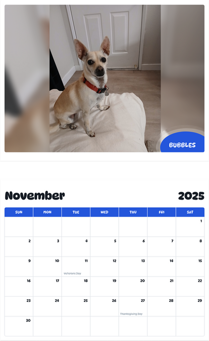 July 2025 - June 2026 Bubbles - Pawidols Pet Calendar