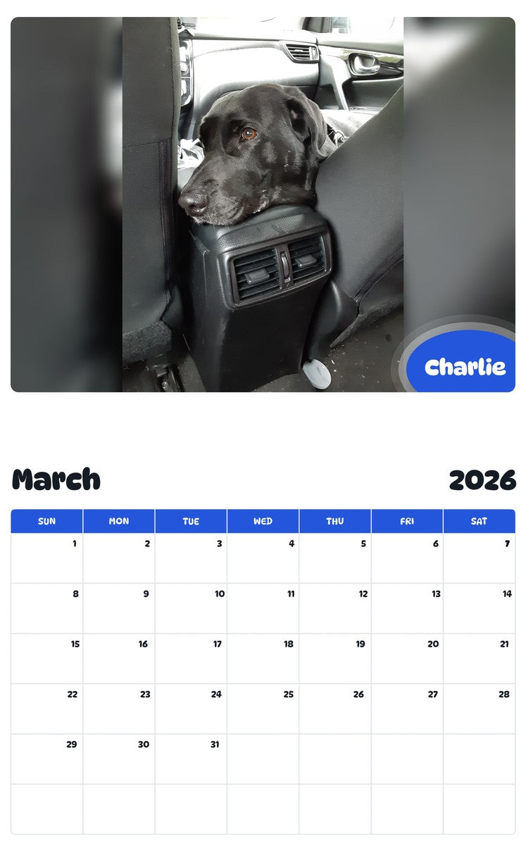 November 2025 - October 2026 Charlie - Pawidols Pet Calendar