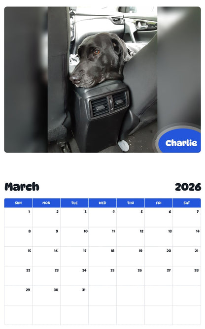 November 2025 - October 2026 Charlie - Pawidols Pet Calendar