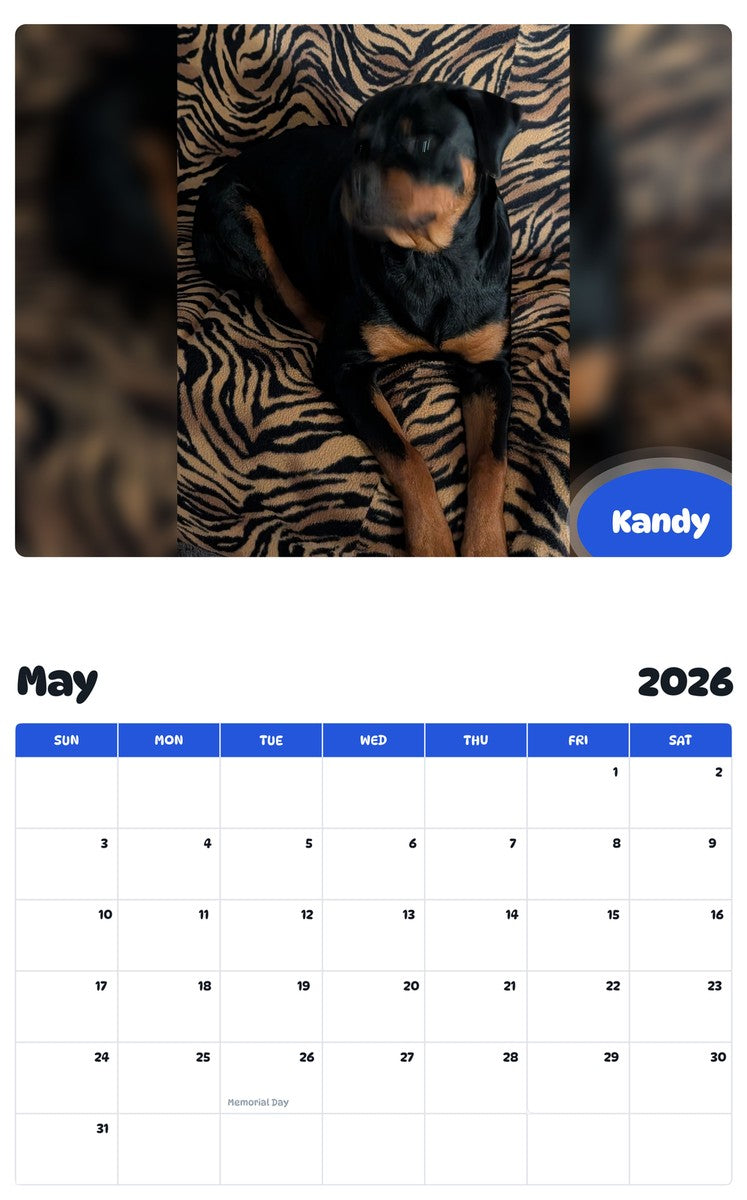 2026 - 2027 Kandy - Pawidols Pet Calendar
