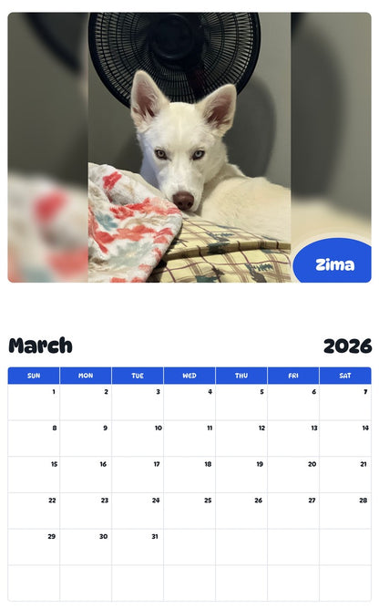 November 2025 - October 2026 Zima - Pawidols Pet Calendar