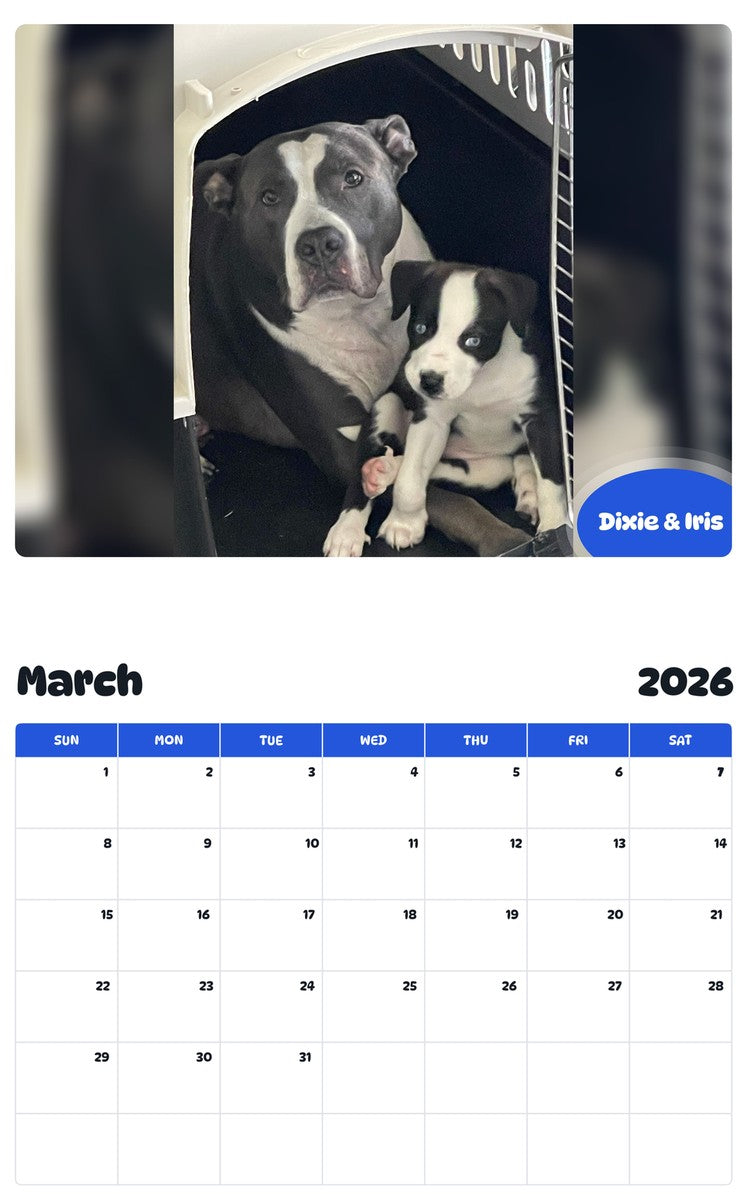 November 2025 - October 2026 Dixie & Iris - Pawidols Pet Calendar