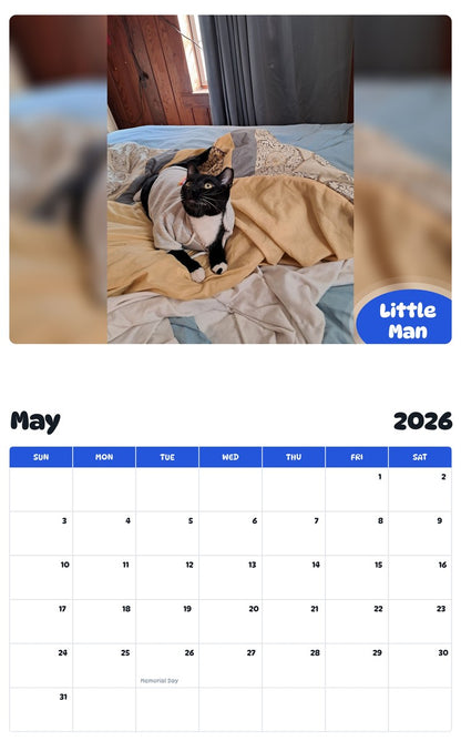 2026 - 2027 Little Man - Pawidols Pet Calendar