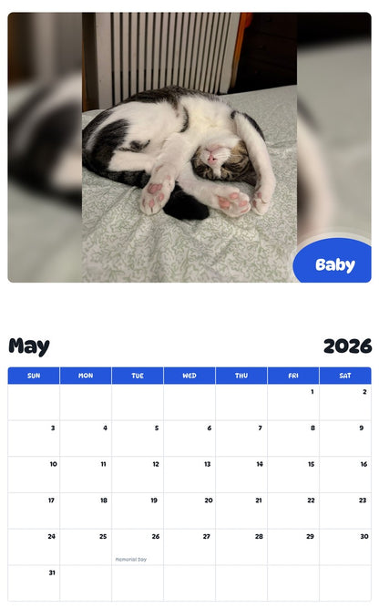 2026 - 2027 Baby - Pawidols Pet Calendar