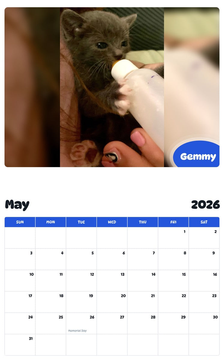 2026 - 2027 Gemmy - Pawidols Pet Calendar