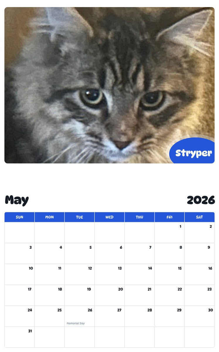 2026 - 2027 Stryper - Pawidols Pet Calendar