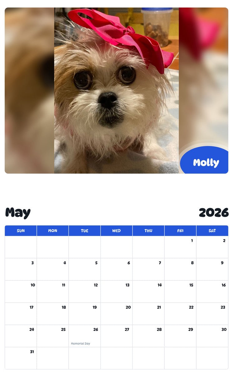 2026 - 2027 Molly - Pawidols Pet Calendar