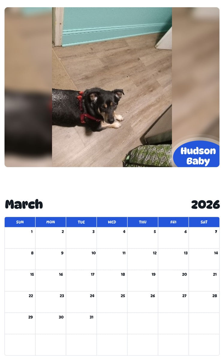 November 2025 - October 2026 Hudson Baby - Pawidols Pet Calendar