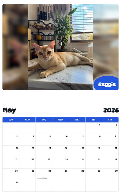 2026 - 2027 Reggie - Pawidols Pet Calendar