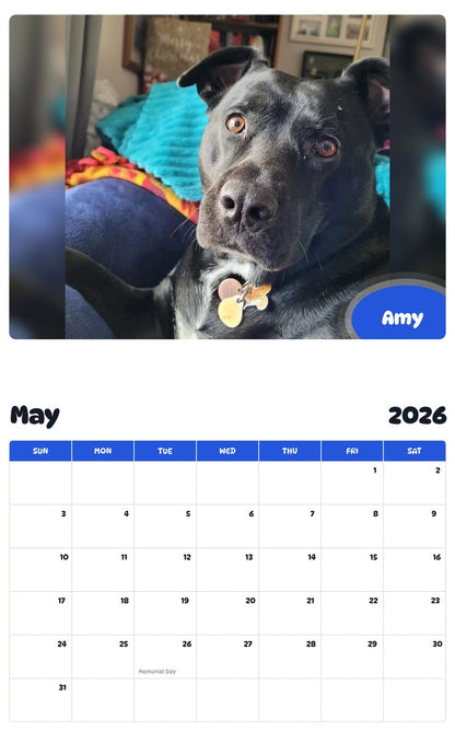 2026 - 2027 Amy - Pawidols Pet Calendar