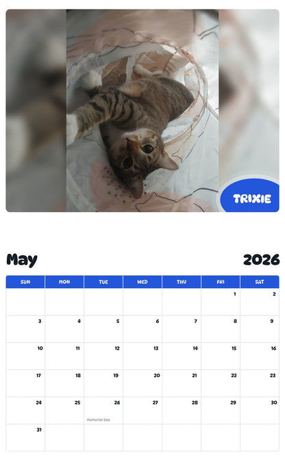 2026 - 2027 TRIXIE - Pawidols Pet Calendar
