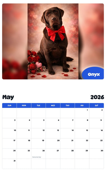 2026 - 2027 Onyx - Pawidols Pet Calendar
