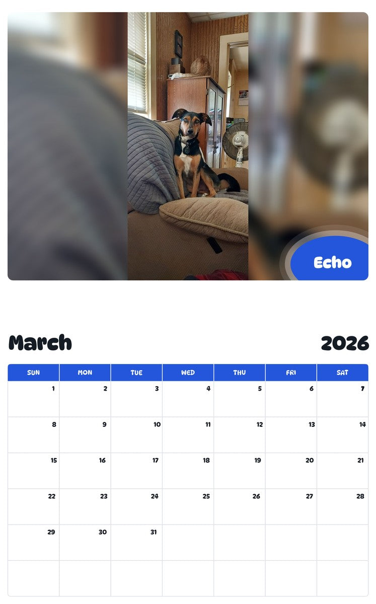 November 2025 - October 2026 Echo - Pawidols Pet Calendar