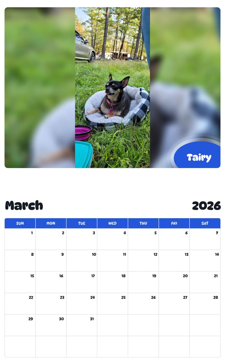 November 2025 - October 2026 Tairy - Pawidols Pet Calendar