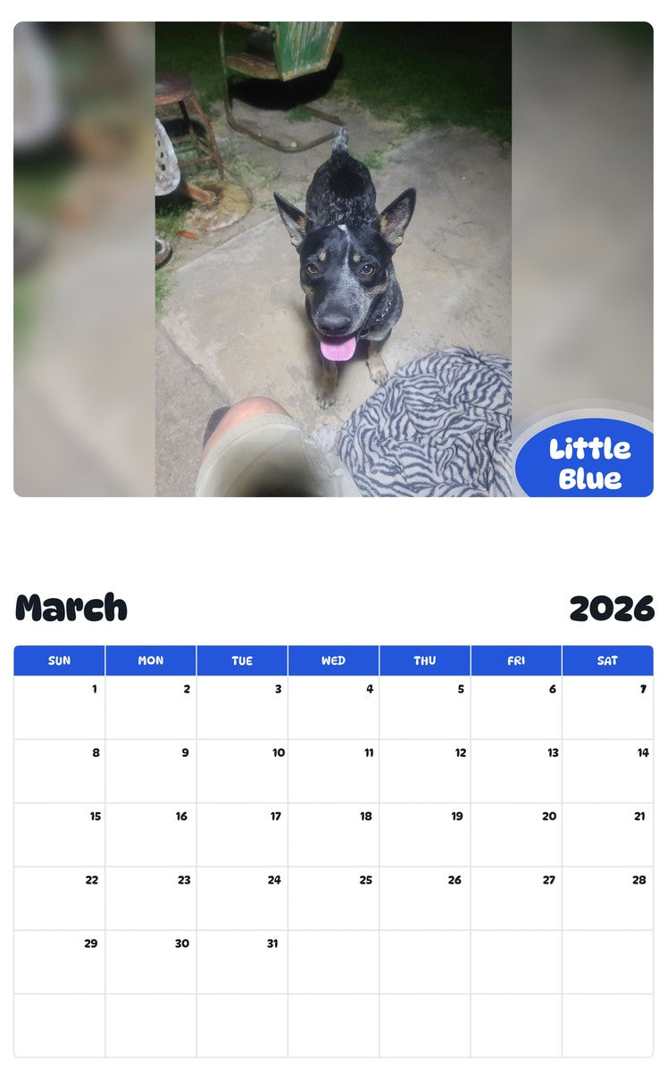 November 2025 - October 2026 Little Blue - Pawidols Pet Calendar