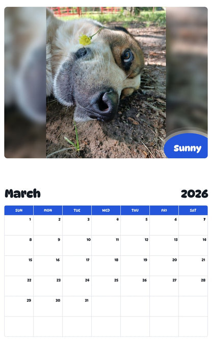 November 2025 - October 2026 Sunny - Pawidols Pet Calendar