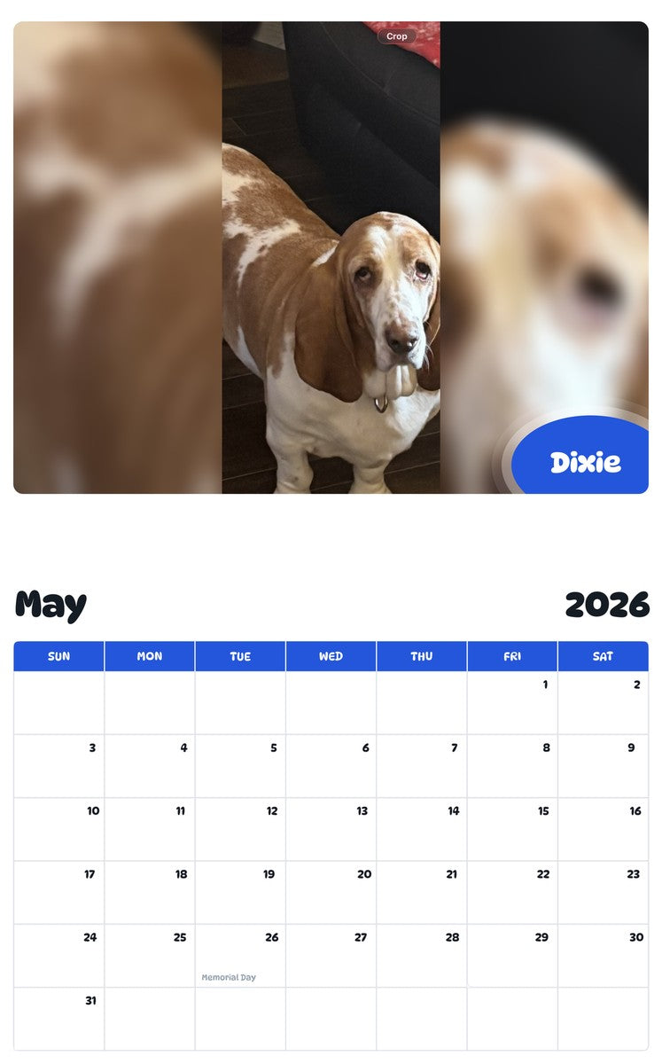 2026 - 2027 Dixie - Pawidols Pet Calendar