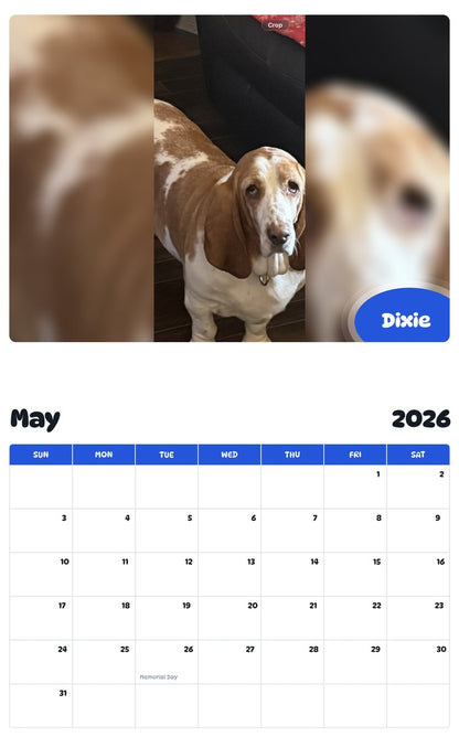 2026 - 2027 Dixie - Pawidols Pet Calendar