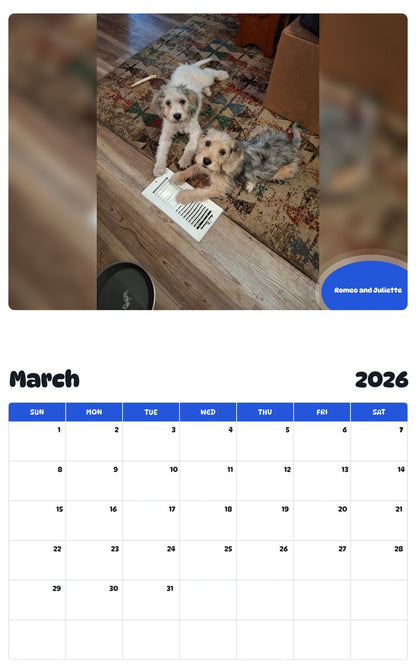November 2025 - October 2026 Romeo and Juliette - Pawidols Pet Calendar