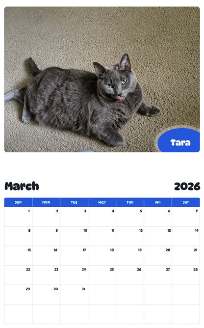 November 2025 - October 2026 Tara - Pawidols Pet Calendar