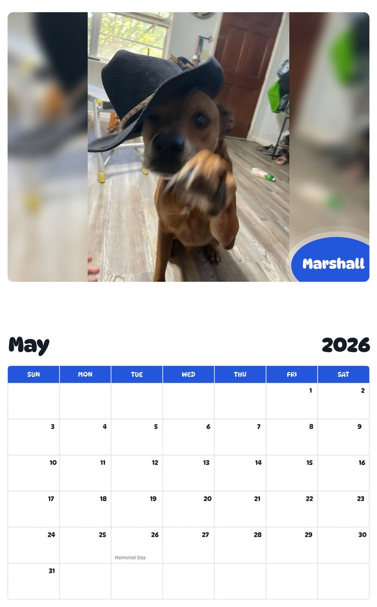 2026 - 2027 Marshall - Pawidols Pet Calendar