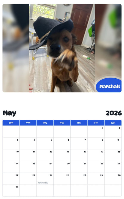2026 - 2027 Marshall - Pawidols Pet Calendar