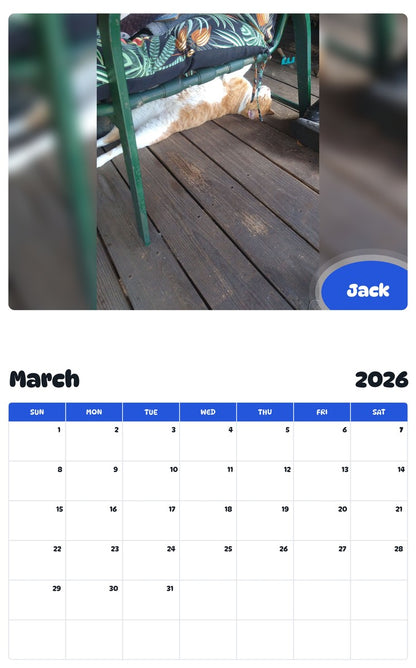 November 2025 - October 2026 Jack - Pawidols Pet Calendar