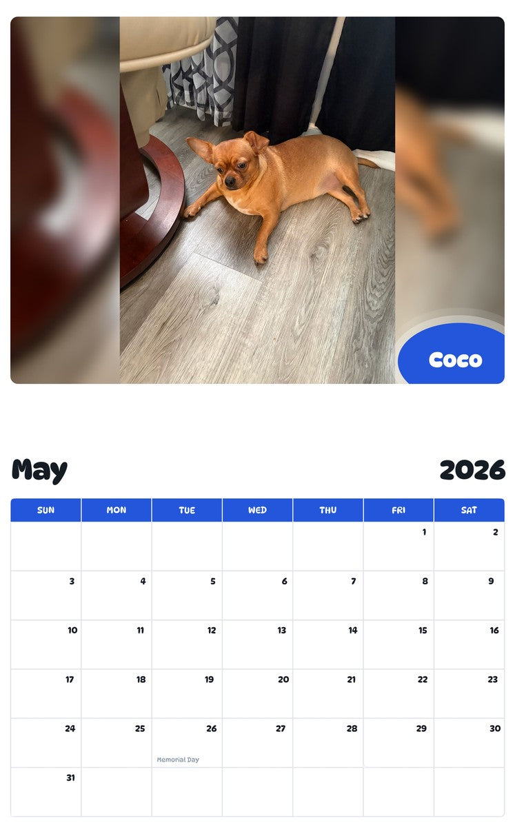 2026 - 2027 Coco - Pawidols Pet Calendar