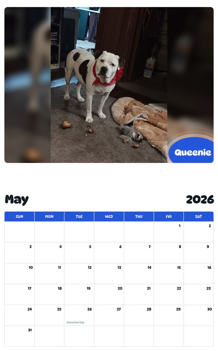 2026 - 2027 Queenie - Pawidols Pet Calendar