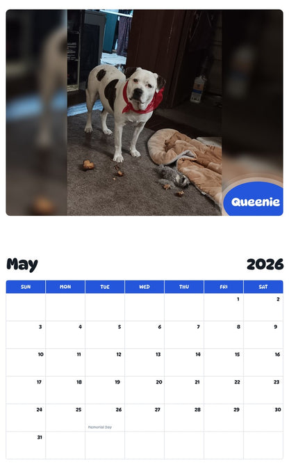 2026 - 2027 Queenie - Pawidols Pet Calendar