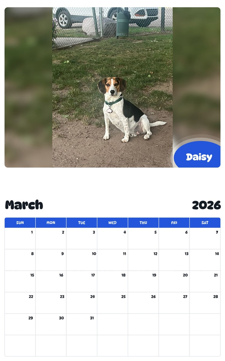 November 2025 - October 2026 Daisy - Pawidols Pet Calendar