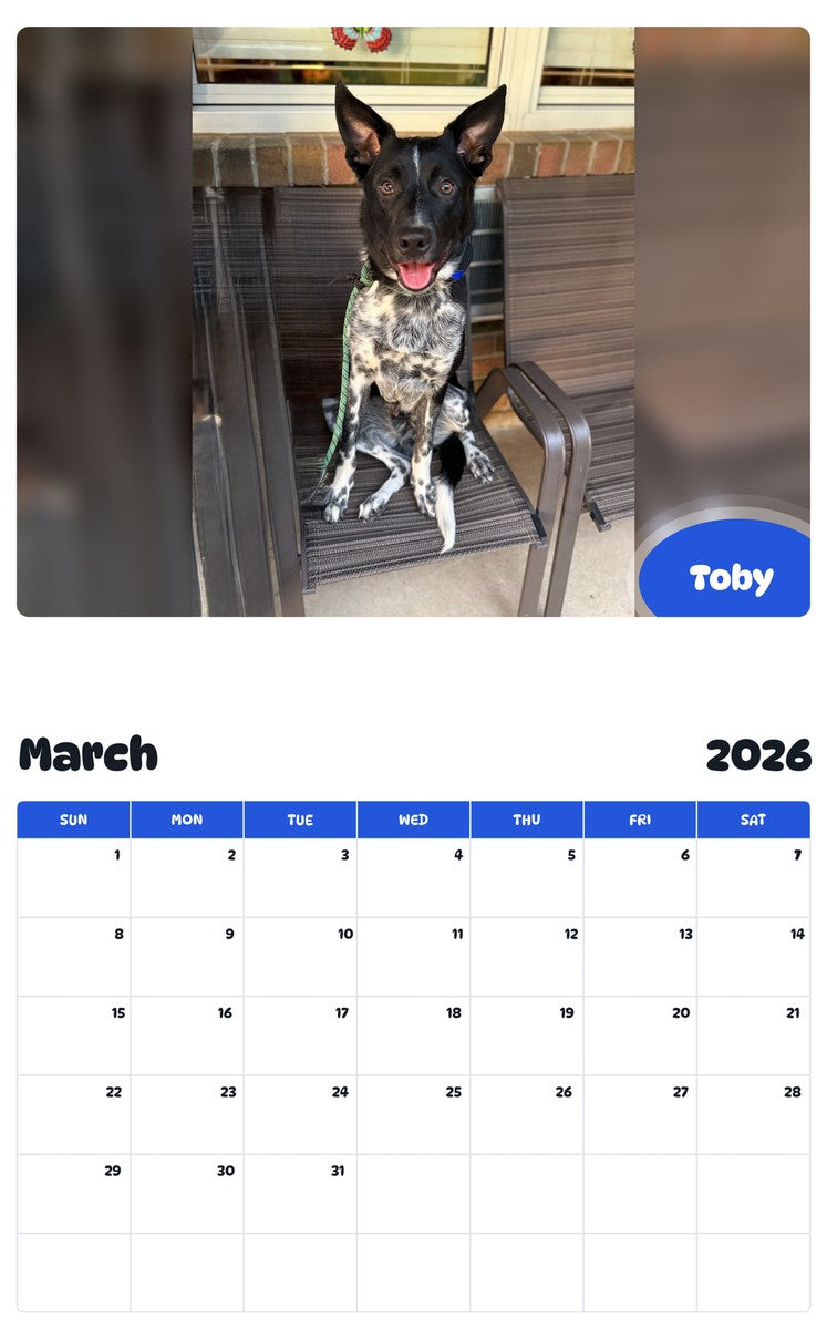 November 2025 - October 2026 Toby - Pawidols Pet Calendar