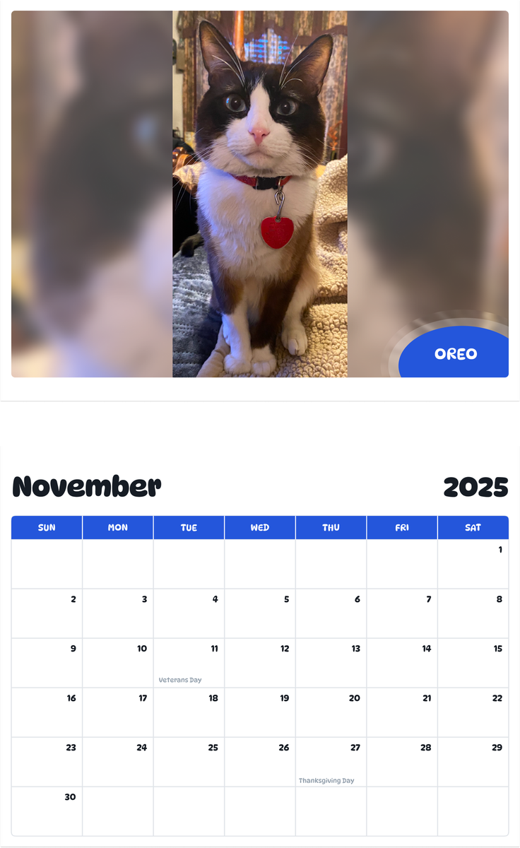July 2025 - June 2026 Oreo - Pawidols Pet Calendar